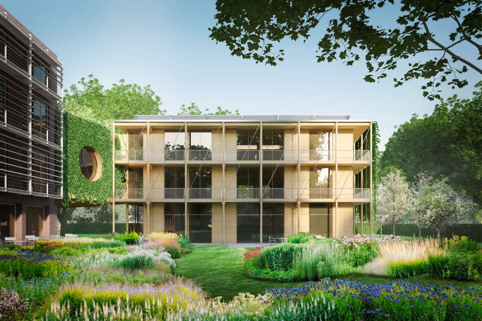 Neubau IZW Erweiterungsbau III, Bild 1